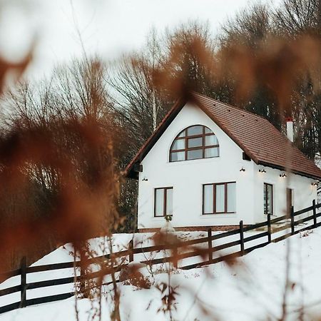 Casuta Boema Villa Risnov Exterior photo