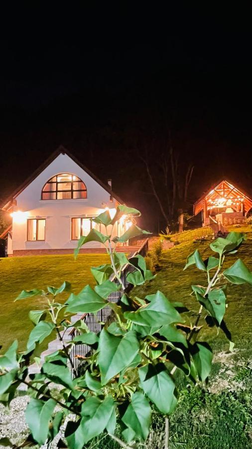 Casuta Boema Villa Risnov Exterior photo