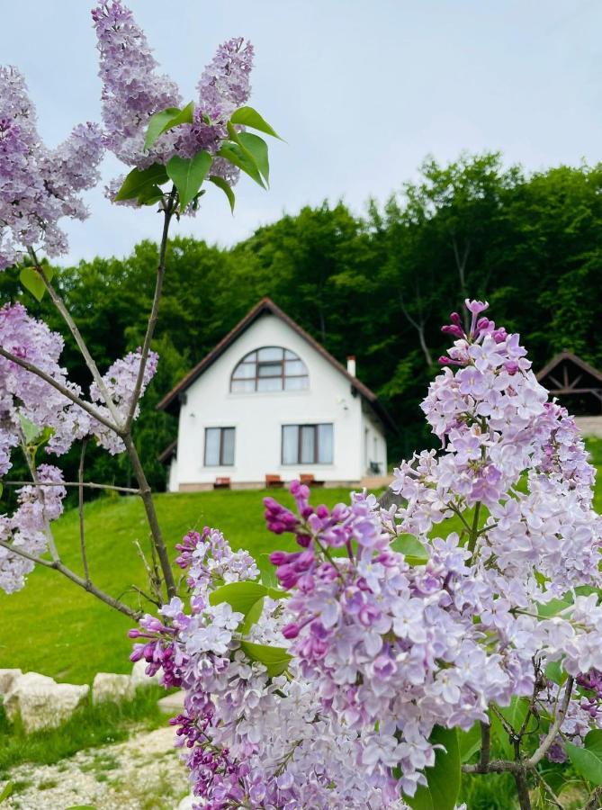 Casuta Boema Villa Risnov Exterior photo