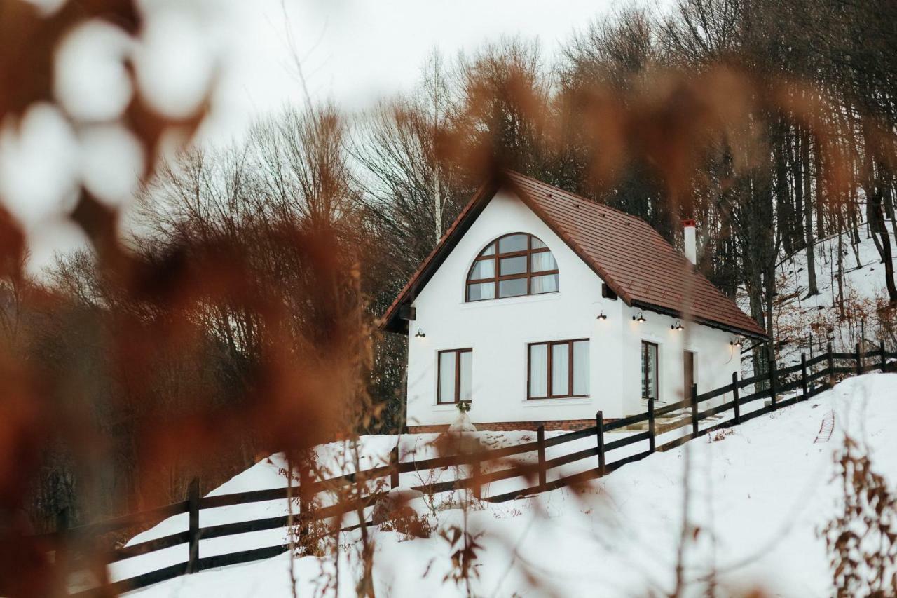 Casuta Boema Villa Risnov Exterior photo